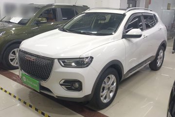 Used Haval H2s 2018 Red-Label 1.5T Dual-Clutch Elite Model