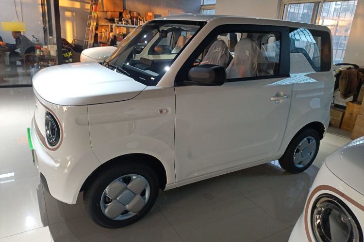 Used  Panda 2024 Panda Mini 200km Endurance Bear