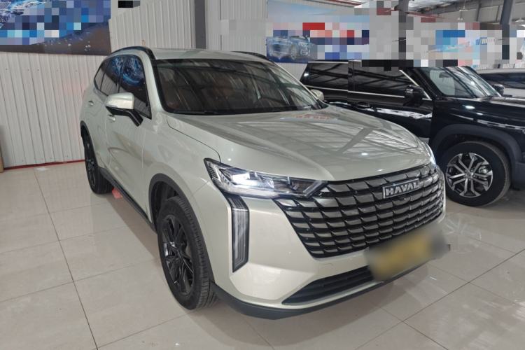 Used Haval H6 2024 1.5T Two-Wheel Drive Max
