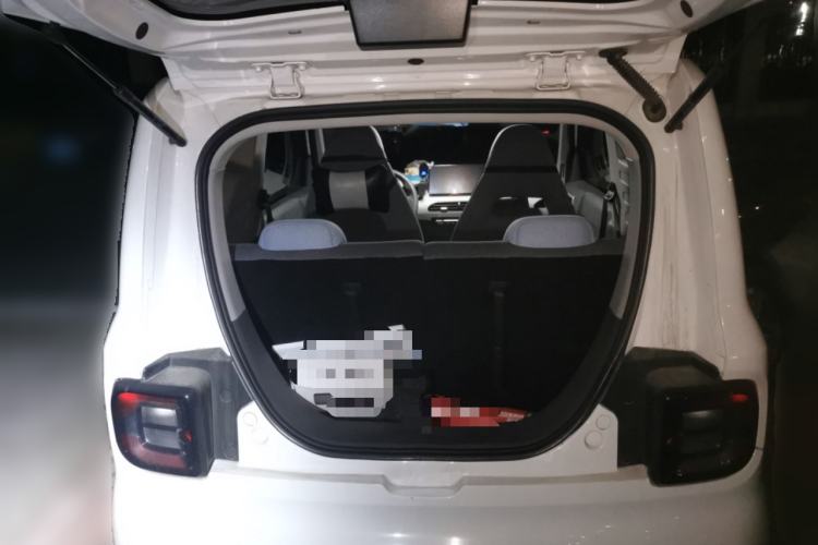 Used  Panda 2023 Panda Mini 200km Endurance Bear
