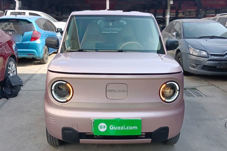 Used  Panda 2023 Panda Mini 200km Endurance Bear
