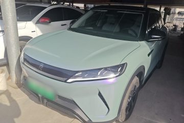 Used BYD Yuan UP 2024 301KM Leading Edition