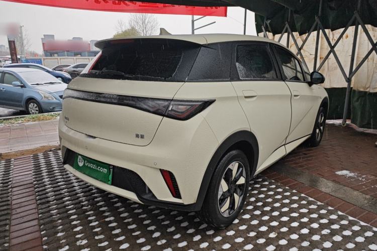 Used BYD Dolphin 2025 420km Free Edition
