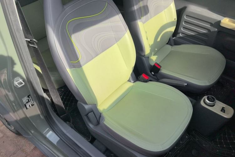 Used  Panda 2024 200km Panda Rider