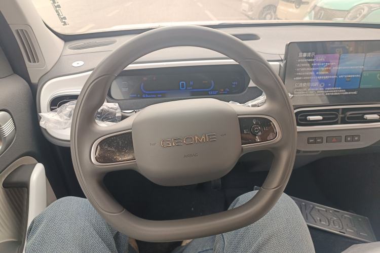 Used  Panda 2025 210 km – Yuanqi Bear
