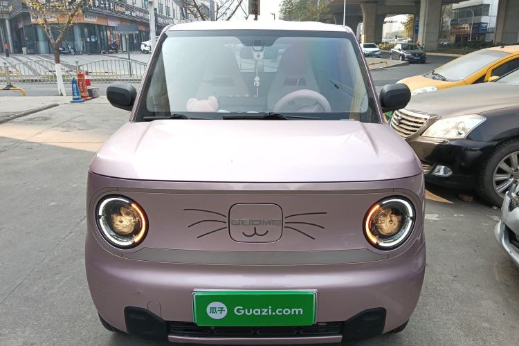 Used  Panda 2023 Panda Mini 200km Endurance Bear
