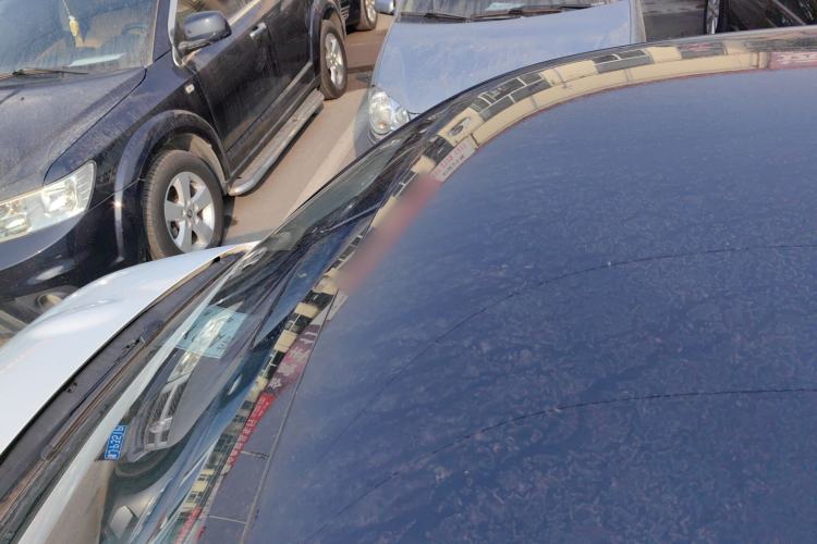 Used ORA Black Cat 2021 351 km Standard Version
