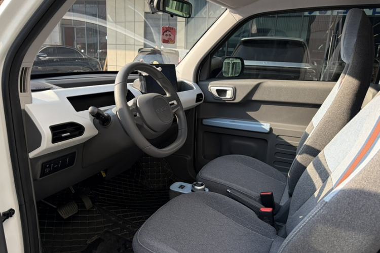 Used  Panda 2024 Panda Mini 200km Endurance Bear
