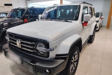 Used Tank 300 2024 2.0T Crosser