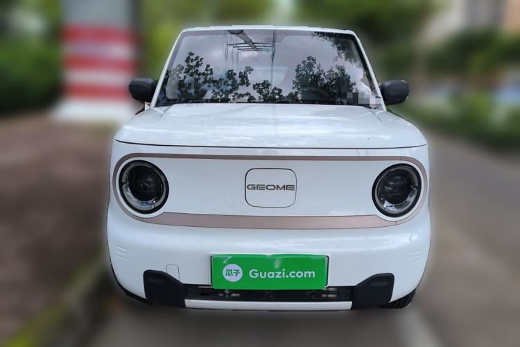 Used  Panda 2023 Panda Mini 200km Endurance Bear
