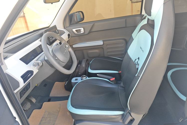 Used  Panda 2024 Panda Mini 200km Endurance Bear
