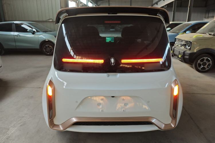 Used ORA White Cat 2022 Xiaoyue Mao Edition 360 km Luxury Model Lithium NMC
