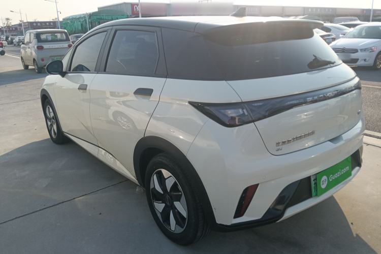 Used BYD Dolphin 2024 Honor Edition 420km Fashion Version
