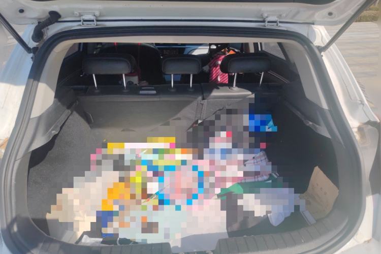 Used Geely Auto Emgrand GSe 2020 600 Luxury Edition
