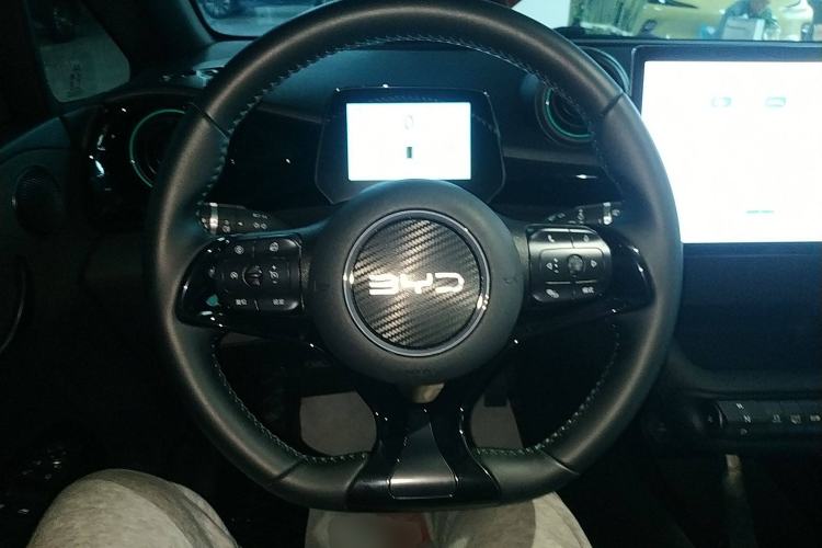 Used BYD Dolphin 2024 Honor Edition 420km Freedom Version