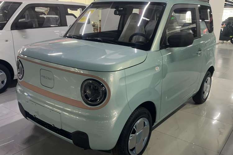 Used  Panda 2024 Panda Mini 200km Endurance Bear