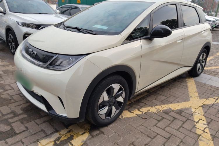 Used BYD Dolphin 2025 420km Free Edition