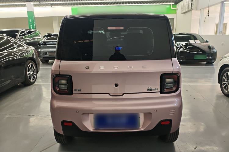 Used  Panda 2024 Panda Mini 200km Endurance Bear
