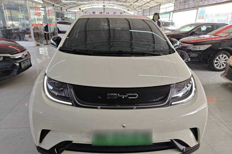 Used BYD Dolphin 2023 420 km Free Version