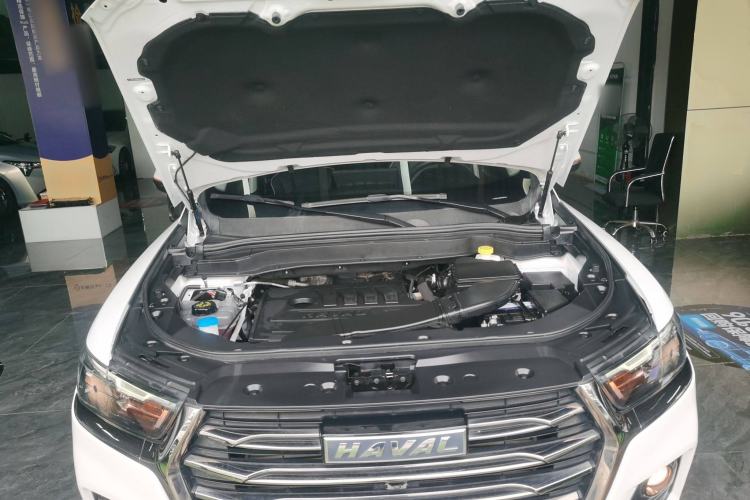 Used Haval H6 2021 National Trend Edition 1.5T Automatic Urban Version
