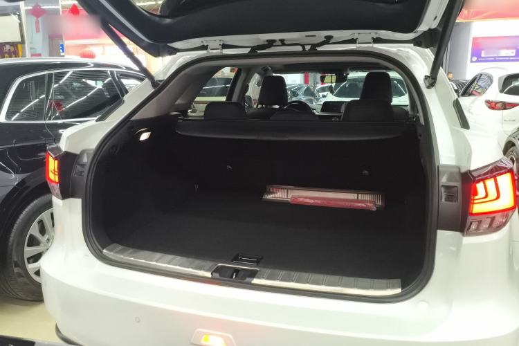 Used Lexus RX 2020 Revised Version 300 Two-Wheel Drive Elite Edition