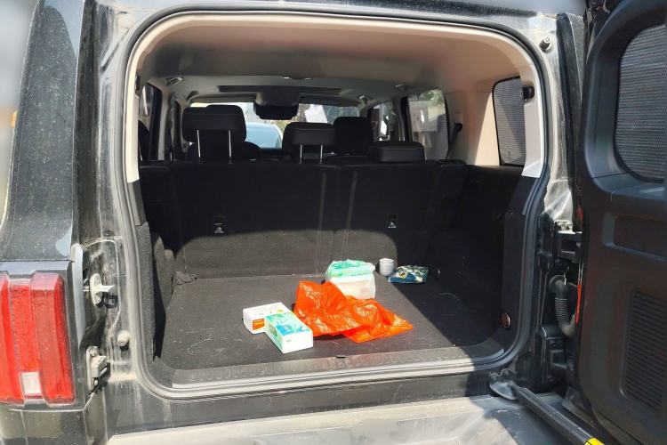 Used Tank 300 2023 City Edition 2.0T—Stylish as Ever
