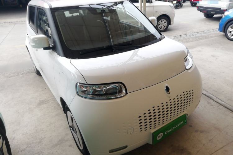 Used ORA White Cat 2020 360km Standard Version
