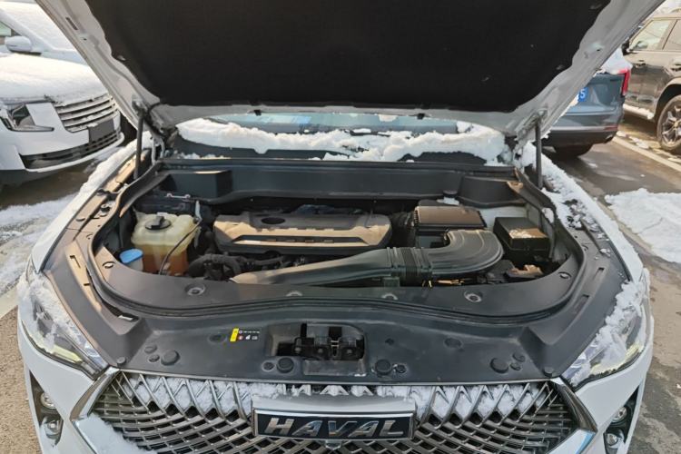 Used Haval F7 2021 2.0T Two-Wheel Drive i-Van
