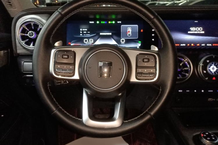 Used Tank 300 2024 2.0T Conqueror