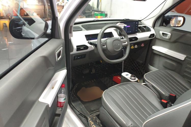 Used  Panda 2023 Panda Mini 200km Endurance Bear
