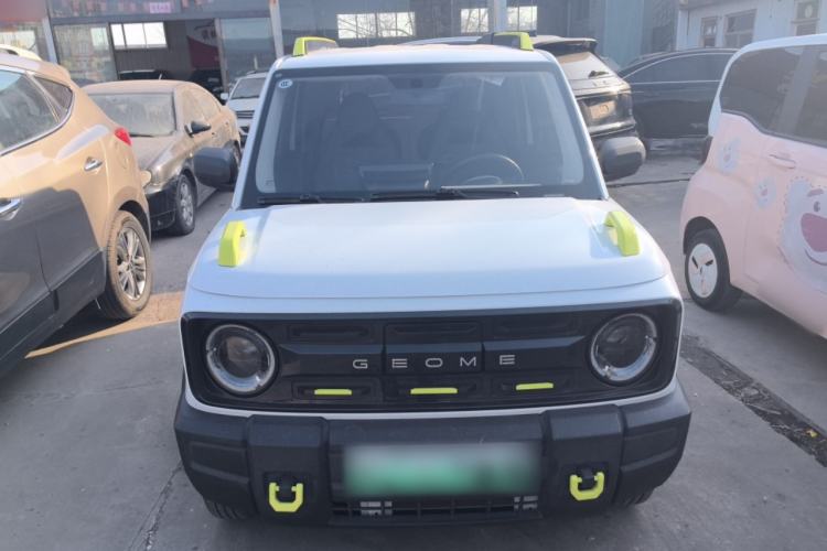 Used  Panda 2024 200km Panda Rider