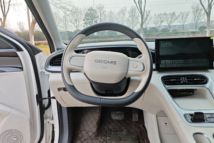 Used  Geome 2025 310km Youth Edition
