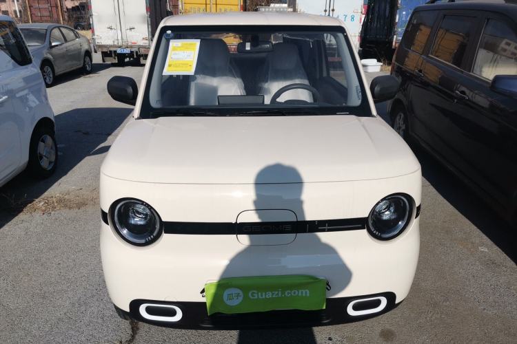 Used  Panda 2025 210 km – Yuanqi Bear