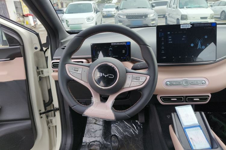 Used BYD Seagull 2025 405 km Flying Edition