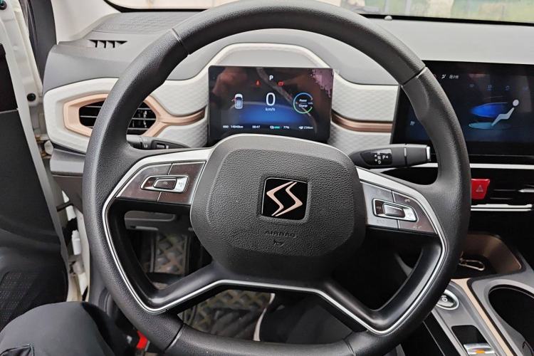 Used SOL E10X 2022 Flower Fairy Design Four-Leaf Clover