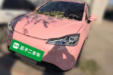 Used NETA V 2021 Witch Edition