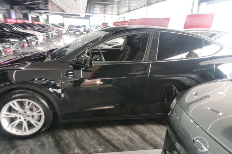 Used Tesla Model Y 2021 Standard Range Rear-Wheel Drive Version
