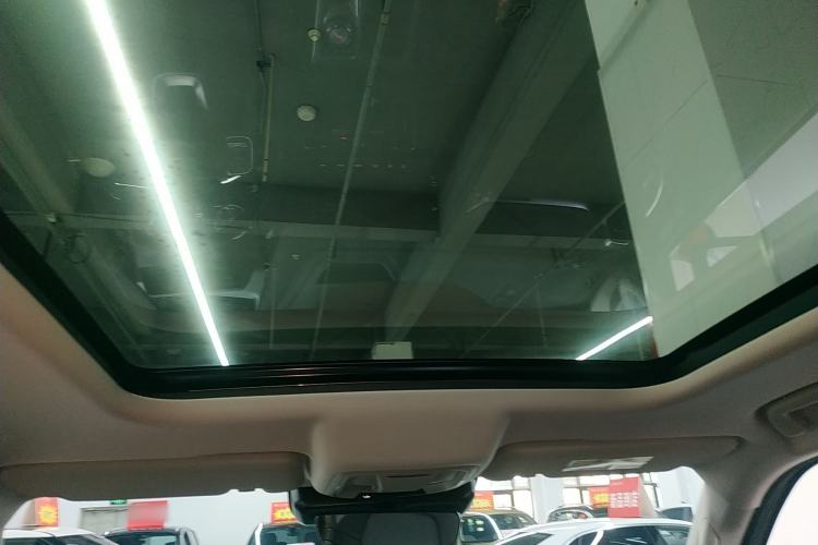 Used Haval DARGO 2024 2.0T DCT Chinese Rural Dog Edition
