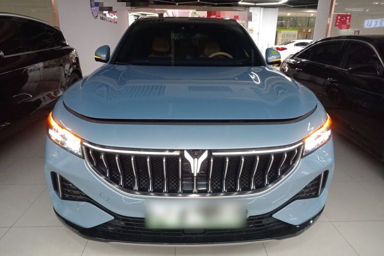 Used VOYAH FREE 2021 Four-Wheel Drive Standard Range-Extended Exclusive Luxury Package
