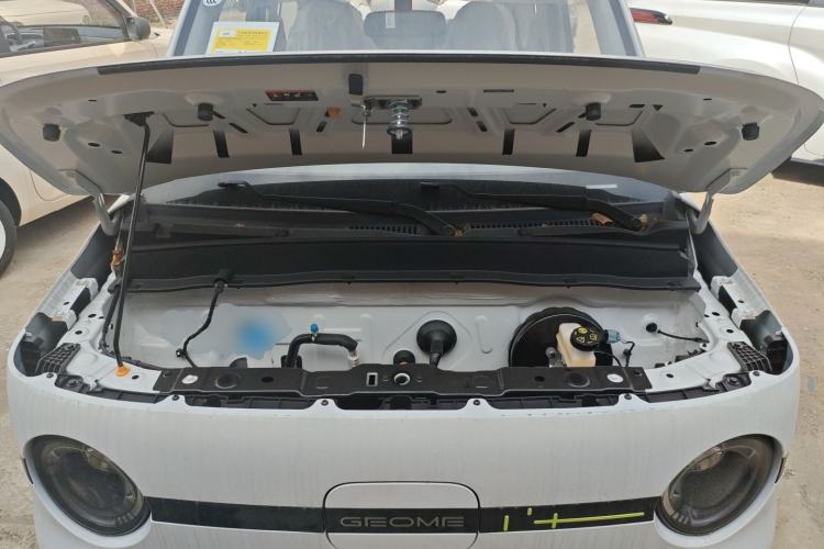 Used  Panda 2025 210 km – Yuanqi Bear