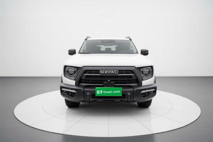 Used Haval DARGO 2024 2.0T DCT Chinese Rural Dog Edition