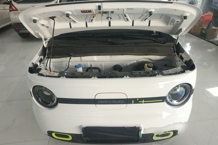 Used  Panda 2025 210 km – Yuanqi Bear