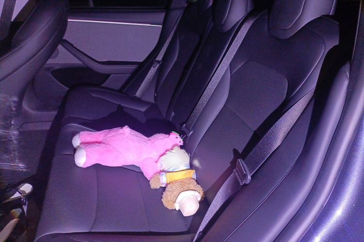 Used Tesla Model 3 2023 Rear-Wheel-Drive Version
