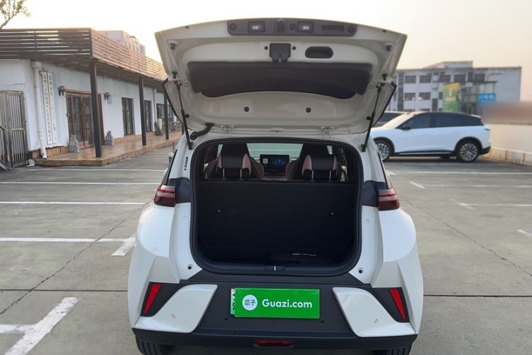 Used BYD Seagull 2025 Smart Drive Version 305 km Freedom Edition