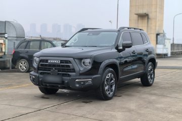 Used Haval DARGO 2024 2.0T DCT Chinese Rural Dog Edition