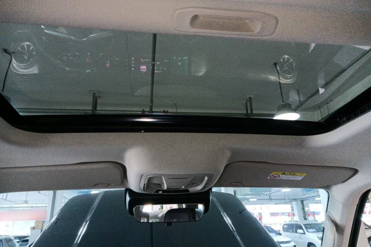 Used Tank 300 2024 2.0T Conqueror