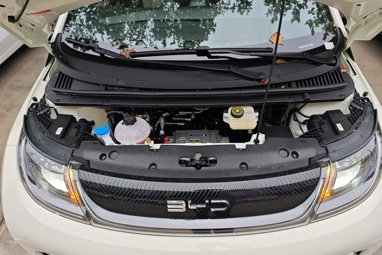 Used BYD Dolphin 2025 420km Free Edition