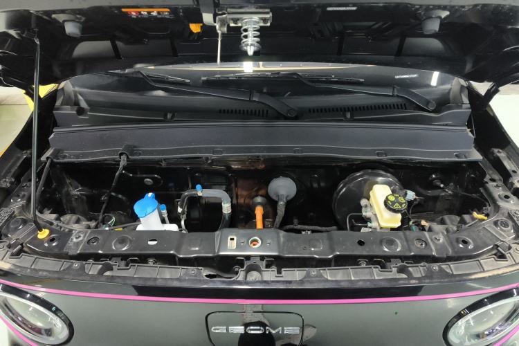 Used  Panda 2024 200km Panda Kart
