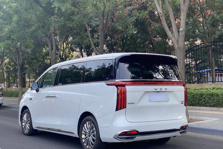 Used Wey Gaoshan 2023 Four-Wheel Drive Flagship Edition
