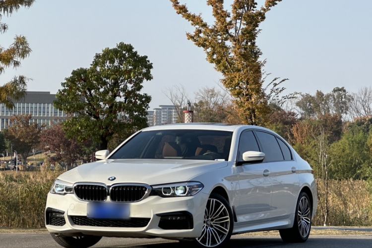 Used BMW 5 Series 2019 530Li Leading Model M Sport Package
